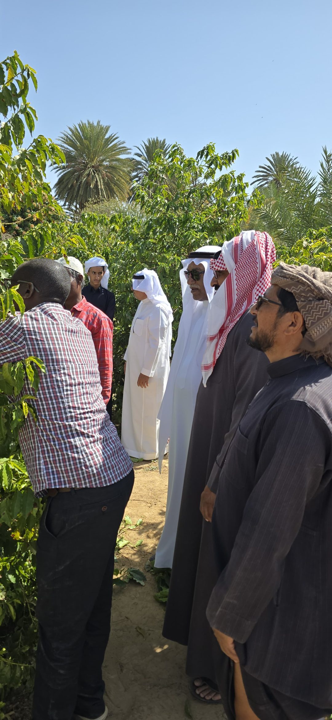 الإشراف الزراعي