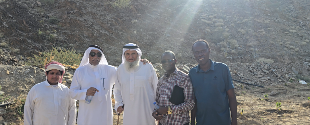 الزراعة التشاركية