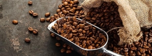 المركز الإعلامي